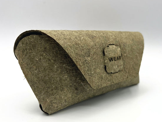green sunglasses case